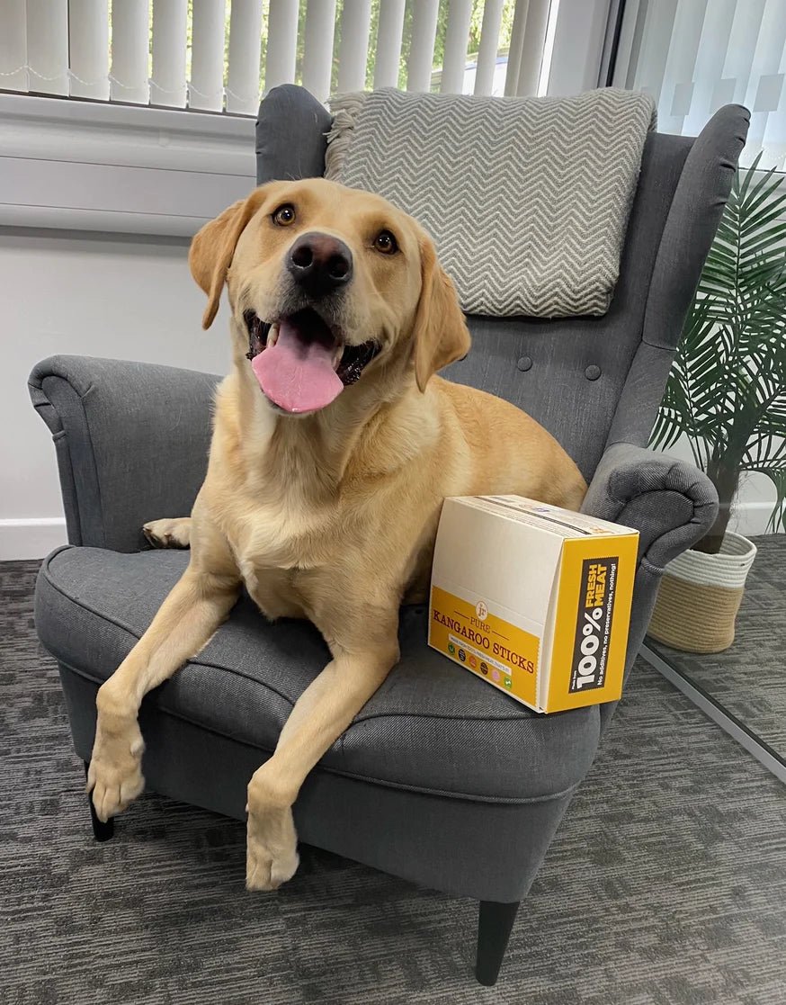 Kangaroo Treats & Chews - JR Pet Products