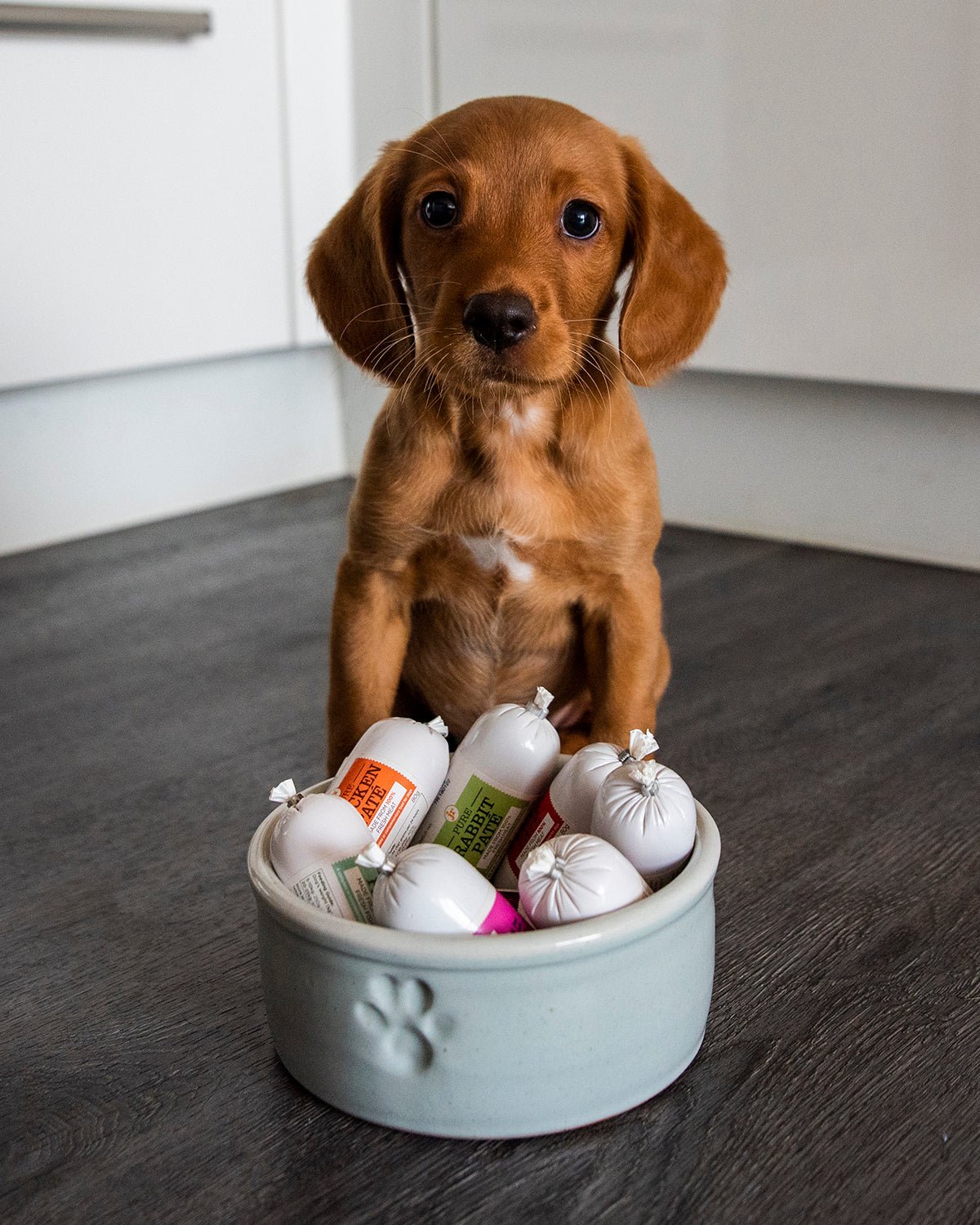 Suitable for puppies over 4 weeks