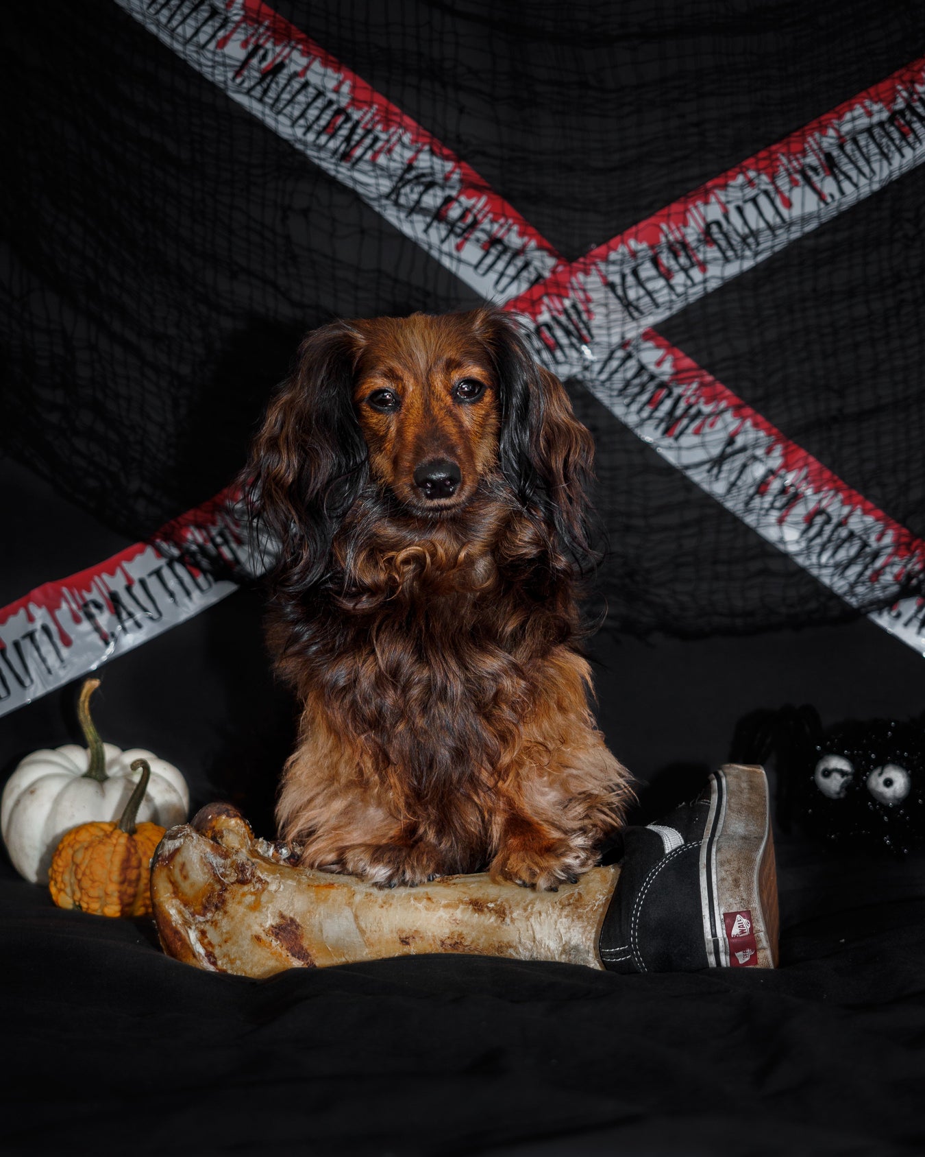 Howl-o-ween Treat Sale