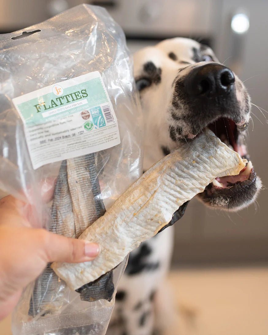 Easy To Digest Treats & Chews