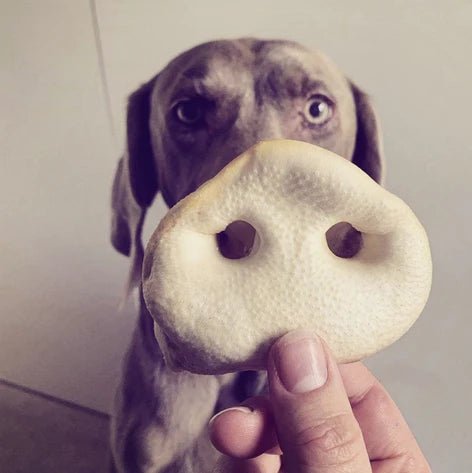 Pork Treats & Chews - JR Pet Products