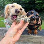 Omega Rich Treats & Chews