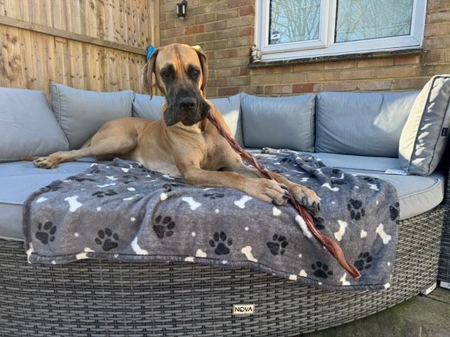 Braided Whole Pizzle 70cm +