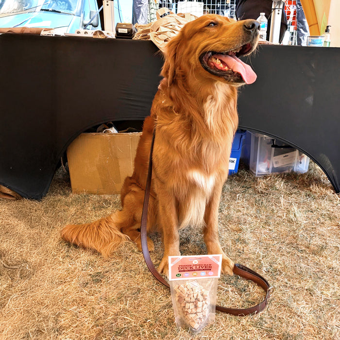 Freeze Dried Duck Liver Treats