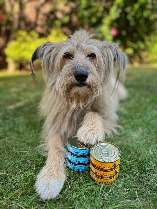 NEW Pure Topper & Mixer Variety 12 x 80g