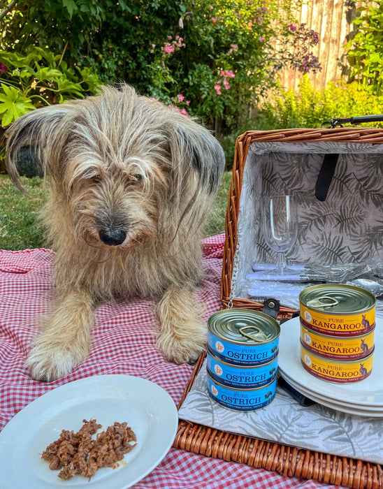 NEW Pure Topper & Mixer Variety 6 x 80g