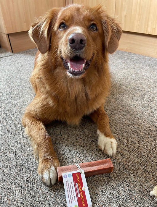 Strawberry Himalayan Yak Bar