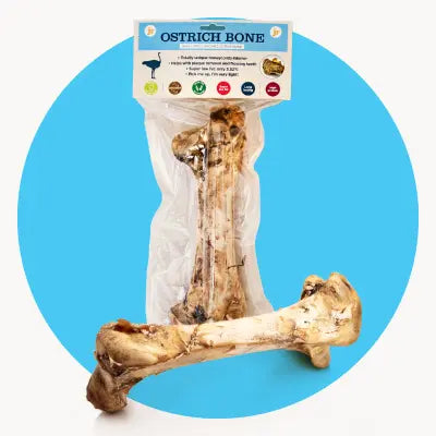 Ostrich Range - JR Pet Products