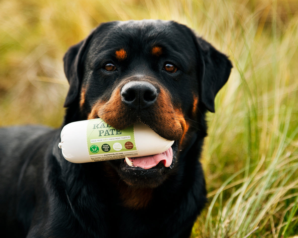 Pure Rabbit Paté 400g — JR Pet Products