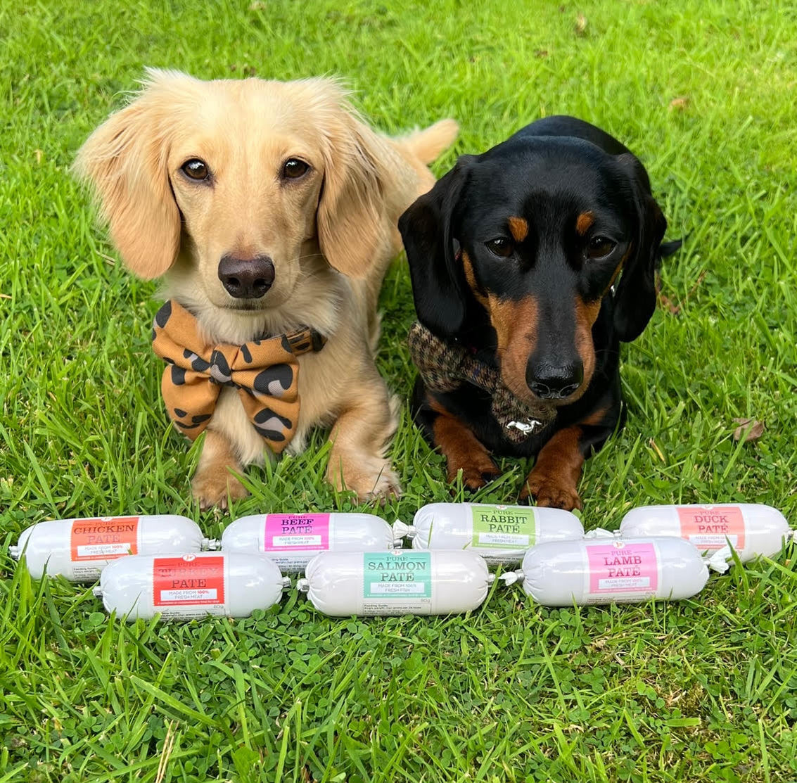 Pure Paté Variety Pack 7 x 80g — JR Pet Products