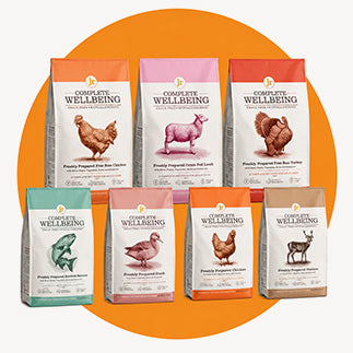 Grain Free Complete Dry Food