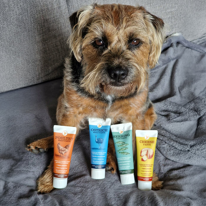 Premium Paste Variety Bundle