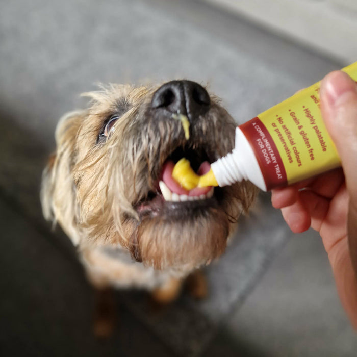 Cheese Paste