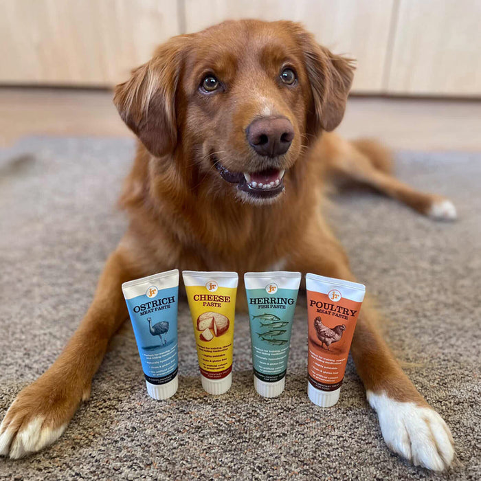 Premium Paste Variety Bundle
