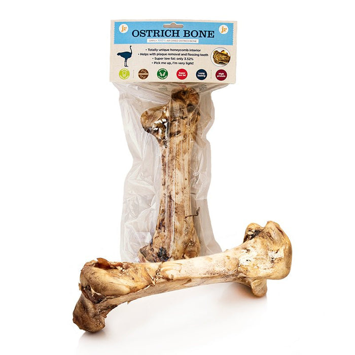 Large Ostrich Bone