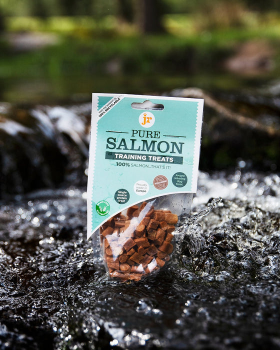 Pure Salmon Training Treats