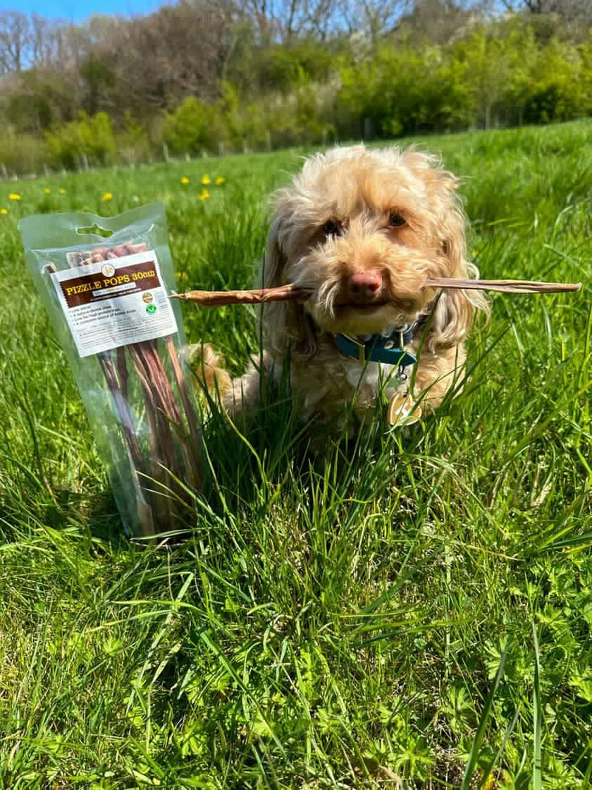 Pizzle Pops 100g — JR Pet Products