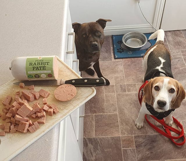 Pure Rabbit Paté 400g — JR Pet Products