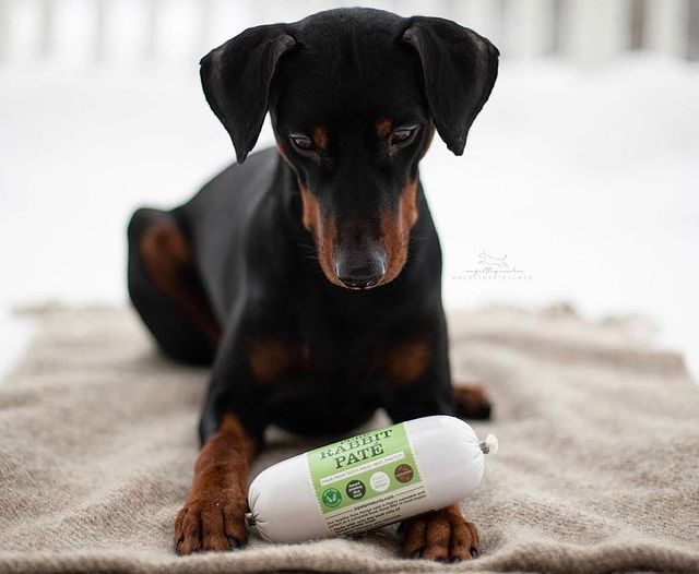 Pure Rabbit Paté 400g — JR Pet Products