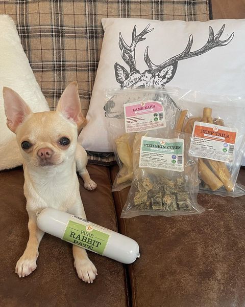 Pure Rabbit Paté 200g — JR Pet Products